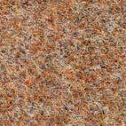 Pugi fenice 504 Swatch image for Pugi fenice 504
